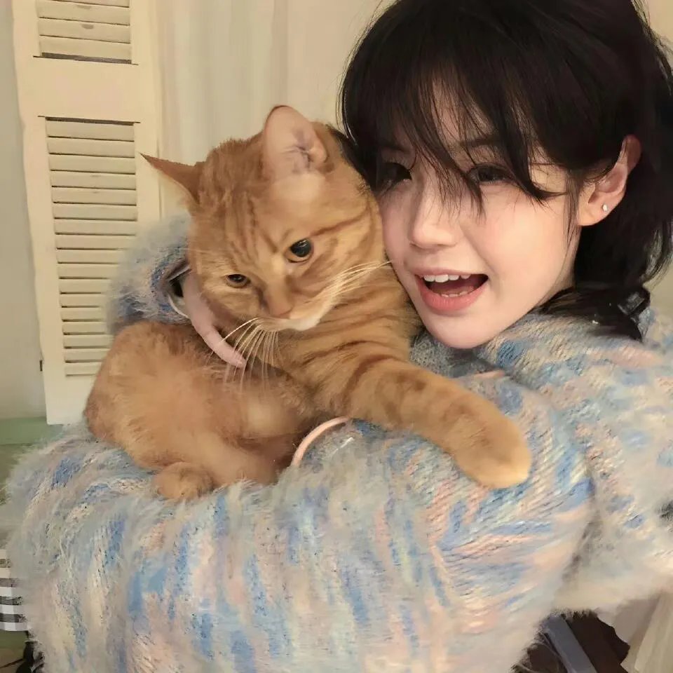 心理追凶第三季